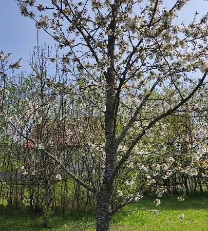 Gosciniec Mazurek , Przy Jeziorze Niegocin